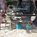 民宿 Rose For 4 Guests In Rose *