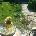 Homestay Rose For 4 Guests In Rose *