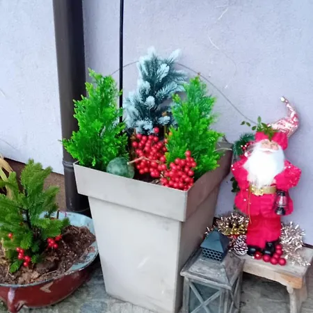 Homestay Rose For 4 Guests In Rose *