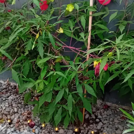 Rose For 4 Guests In Rose Λιουμπλιάνα