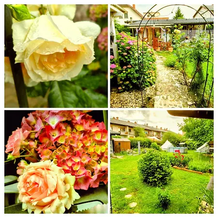 Rose For 4 Guests In Rose Δωμάτια σε οικογενειακή κατοικία