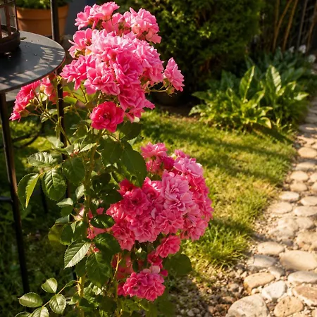 ROSE ROOM for 4 guests in green Rose resort Ljubljana *