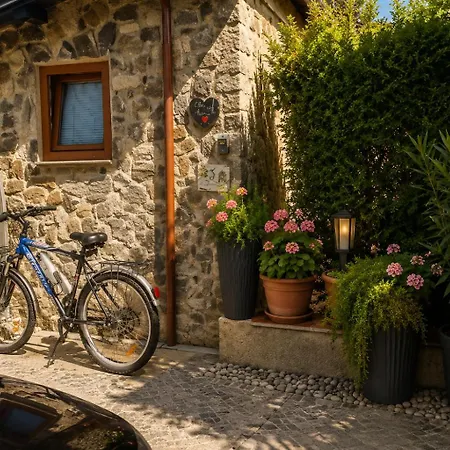 ROSE ROOM for 4 guests in green Rose resort Ljubljana