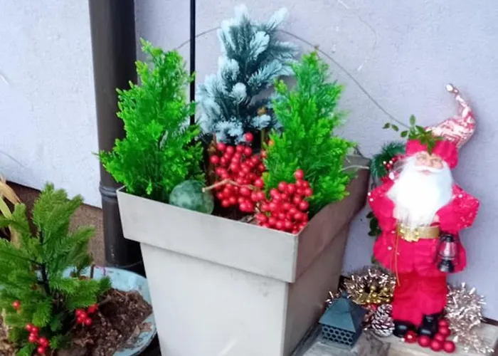 Accommodatie bij particulieren Rose For 4 Guests In Rose *