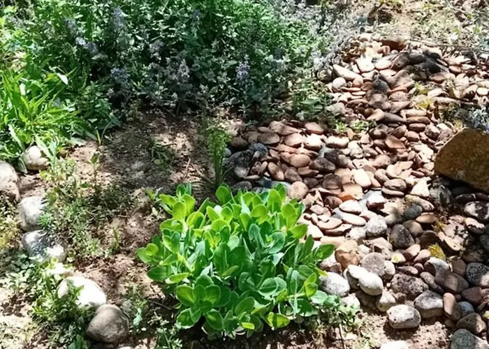 Rose For 4 Guests In Rose * Ljubljana